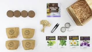 How To Plant Up Your Garden Republic Herbal Tea Grow Kit!