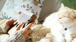 You Are My Sunshine - Kalimba cover.