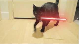 ORIGINAL Star Wars Cat with lightsaber