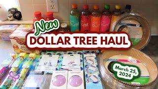 FUN DOLLAR TREE HAUL!  New Finds!  March 25, 2024