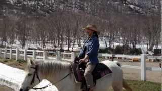 Horseback-riding in Niseko