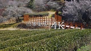 [Mountain village in Aichi] Visit Damine village - JAPAN in 4K