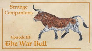 Strange Companions Episode III: Qajarith War Bulls