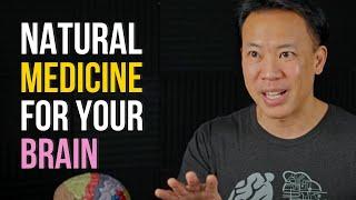 6 Natural Medicines for Brain Health | Jim Kwik