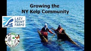 Unlocking the Potential of New York Kelp