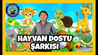 SEVİMLİ HAYVANLAR ŞARKISI | Okul Öncesi Hayvanlar Şarkısı | Hakan Abi ve Gitarı Boncuk