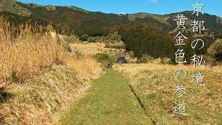 【京都の秘境】黄金色の参道と花脊の散策 : Walking Around Hanase Area （Kyoto, Japan）