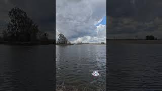 Truxtun Lake #beautifulbakersfield #kernriver #streetsofbakersfield