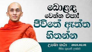 51) 2023.02.01 | බොළඳ වෙන්න එපා! ජීවිතේ ඇත්ත හිතන්න | දහම් අරුතින් පිරි උපමා කතා