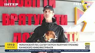 Украинский пес-сапер Патрон получил премию Каннского кинофестиваля | FREEДОМ - UATV Channel