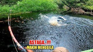 YA AMPUN...!!! SITUASI MENEGANGKAN YANG JADI INCARAN PARA PEMANCING