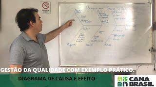 GESTÃO DA QUALIDADE COM EXEMPLO PRÁTICO. DIAGRAMA DE CAUSA E EFEITO.