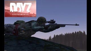 DayZ Experimental 1.25 NEW rifle plus sounds VS89 Vaiga and M79