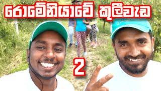 රොමේනියාවේ කුලී වැඩ 2 | A day in the life working at an agriculture farm in Romania