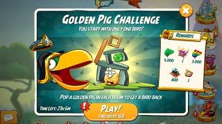 Angry Birds 2 Sonic Golden Pig Challenge Room 7 (Hal)