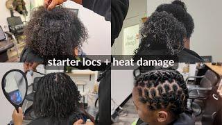 How to: Starter Locs on Heat Damaged Hair | Coils, Cutting Damage, Loctician Tips