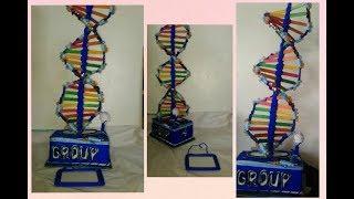 Tips and Tricks(DNA project model)HOW TO MAKE DNA STRUCTURE MODEL..STEP BY STEPscience