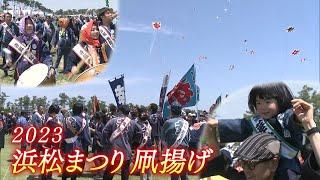 【映像スケッチ】浜松まつり開幕　勇壮な凧揚げ