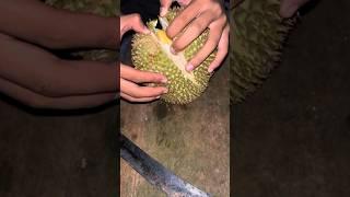 Hantu durian!!!