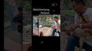 Matchinchang Petland