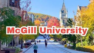  McGill University Walking Tour | Best thing to do in Montreal , Explore Montreal’s Iconic Campus