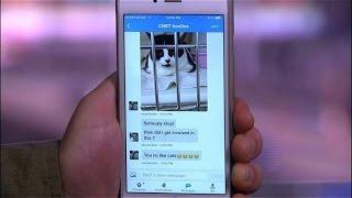 CNET How To - How to send Group Messages in Twitter