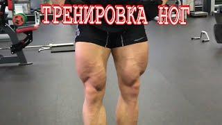 ТРЕНИРОВКА НОГ