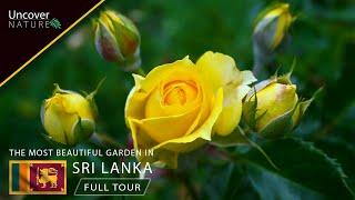 Hakgala Botanical Garden | Sri Lanka | 4K | Full Tour