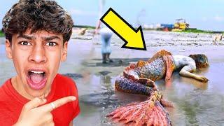 6 YouTubers WHO CAUGHT MERMAIDS on CAMERA! (Ferran, Salish Matter, The Royalty Family)