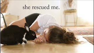 How my pet Bunny Saved My Life (Our Story)
