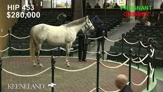 Pretty Birdie sells for $700,000 at 2025 Keeneland January