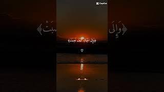 Surah Al Ghashiyah By Abdul Rehman Masad .#freepalastine #احمد #duet #Ahmed/ #islamictext