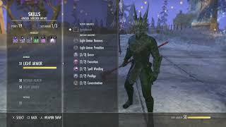 MagSorc One Bar PVP Build - ESO - Necrom