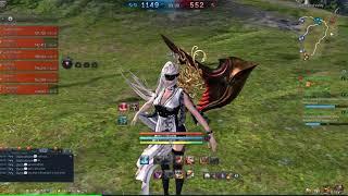 Blade and soul funny bug