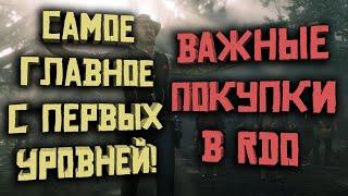 Важные покупки в Red Dead Online на первых уровнях!