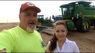 2021 Montana Wheat Harvest with Kates Ag - Farm to Fashion