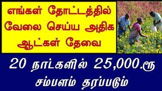 தமிழ்நாடு முழுவதும் 500 ஆட்கள் தேவை  படிப்பு தேவையில்லை #jobs #2025 | wanted | Tamilnadu job 2025