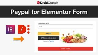 Receive Paypal Payment with Paypal for Elementor Pro Form Widget (Dynamic Content for Elementor)