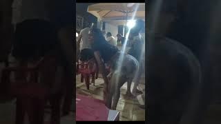 Best Brazilian Twerk Dance