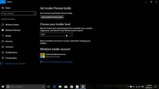 What are the differences between the Windows 10 Insider preview levels