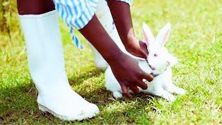 African Lady Slaughtering a Rabbit by the River