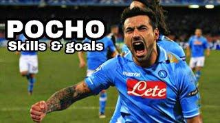 POCHO LAVEZZI SKILLS & GOALS - VIDEO TRIBUTO