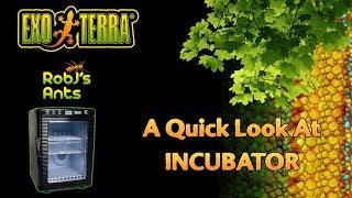 Exo Terra | Reptile Egg Incubator