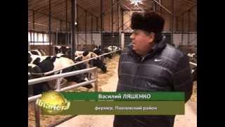 Планета АГРО - Семейная ферма Ляшенко 2014 год
