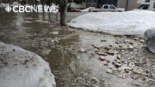 Water main breaks from freeze-thaw cycle cause headaches for Sask. homeowners