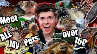 MEET ALL OF MY PETS!!! *2021* (I have over 100 animals)