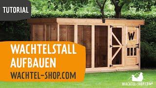 Tutorial: Wachtelstall aufbauen | Wachtel-Shop.com