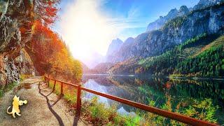 Breathtaking Nature Video 4K ~ Amazing Nature Scenery & Relaxing Music for Stress Relief.