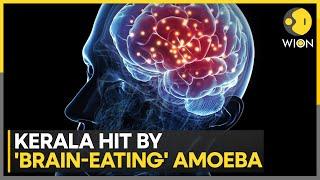 India: Brain-eating Amoeba kills 3 in Kerala, found in waters in warm climates | India News | WION