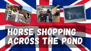 HORSE SHOPPING IN ENGLAND AND IRELAND
